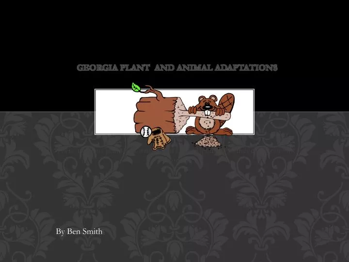 georgia plant and animal adaptations