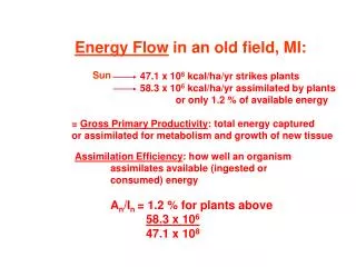 Energy Flow in an old field, MI: