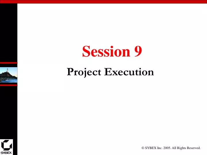 project execution