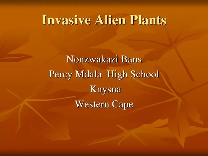 invasive alien plants
