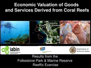 economic valuation of goods and services derived from coral reefs