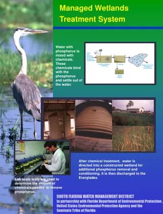 Managed Wetlands Treatment System