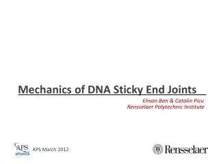 Mechanics of DNA Sticky End Joints