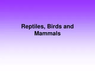 Reptiles, Birds and Mammals