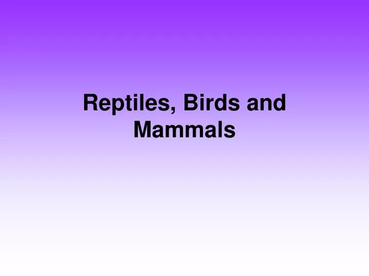 reptiles birds and mammals