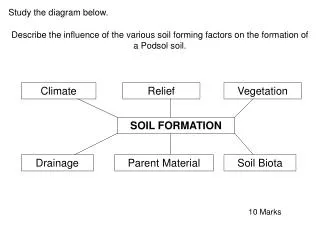 SOIL FORMATION