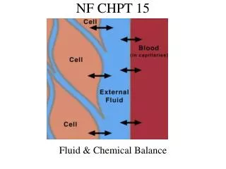 NF CHPT 15