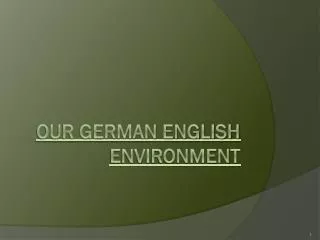 Our German English Environment
