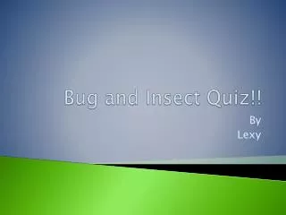 Bug and Insect Quiz!!