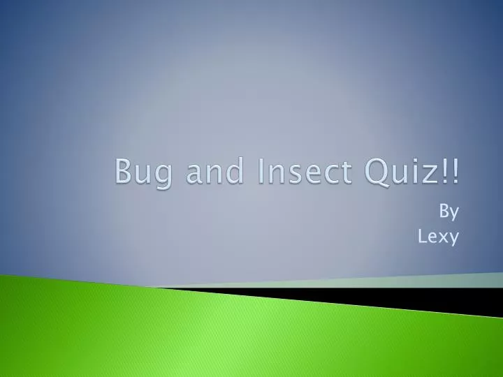 bug and insect quiz
