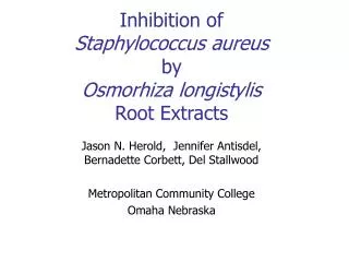 Inhibition of Staphylococcus aureus by Osmorhiza longistylis Root Extracts