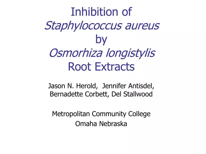 inhibition of staphylococcus aureus by osmorhiza longistylis root extracts