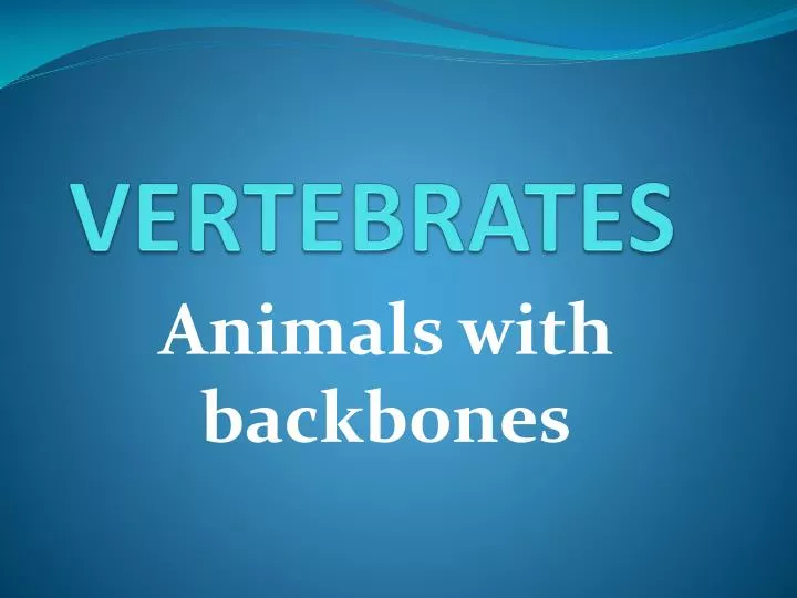 vertebrates