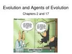 Evolution and Agents of Evolution