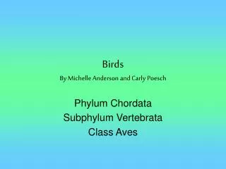 Birds By Michelle Anderson and Carly Poesch