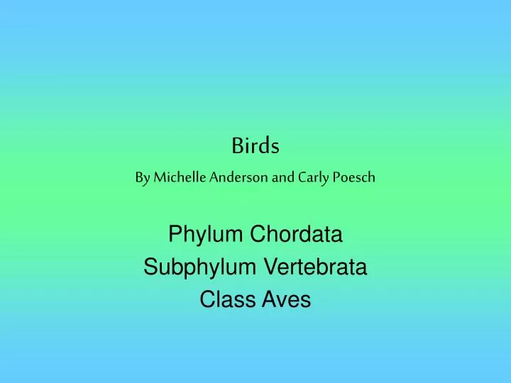 birds by michelle anderson and carly poesch