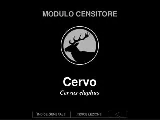 modulo censitore