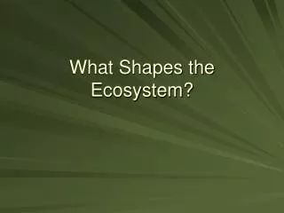 What Shapes the Ecosystem?