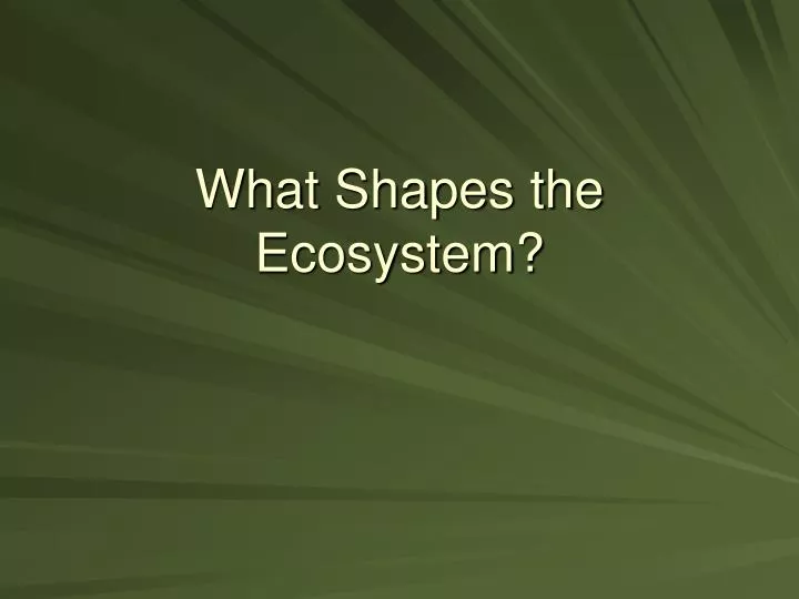 what shapes the ecosystem