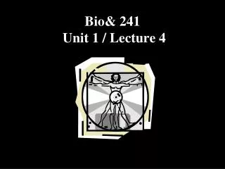Bio&amp; 241 Unit 1 / Lecture 4