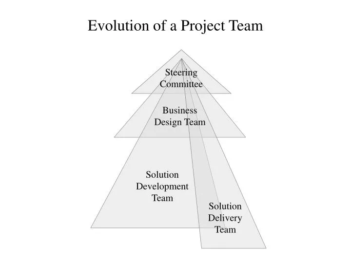 evolution of a project team