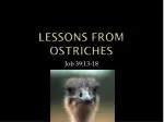 Lessons from Ostriches