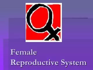 female reproductive system