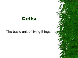 Cells: