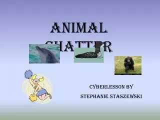 Animal Chatter