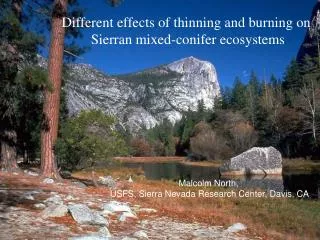 Different effects of thinning and burning on Sierran mixed-conifer ecosystems