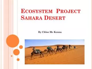 Ecosystem Project Sahara Desert