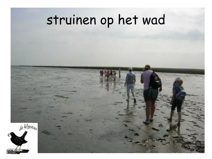 struinen op het wad