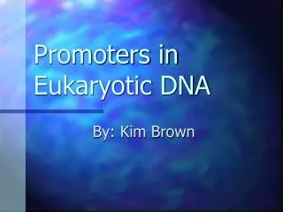 promoters in eukaryotic dna