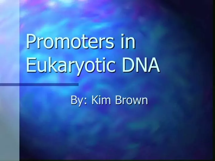 promoters in eukaryotic dna