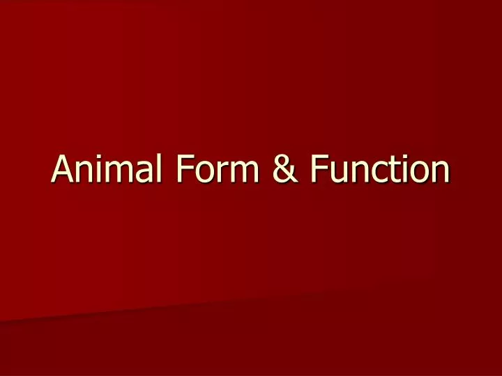 animal form function