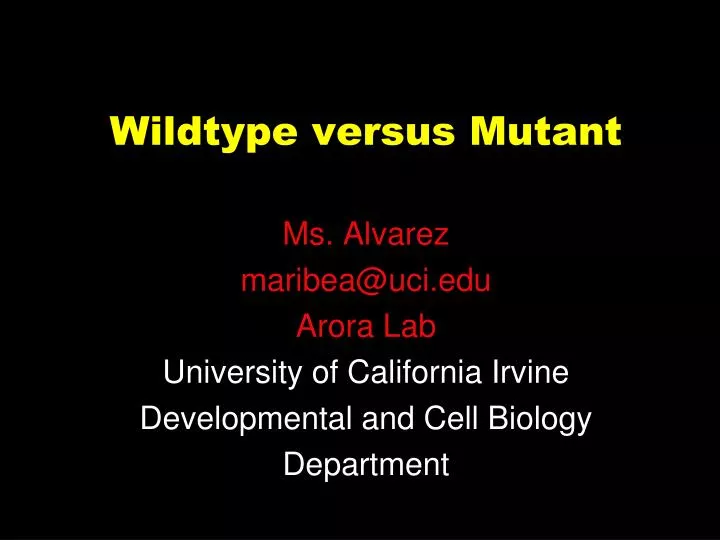 wildtype versus mutant