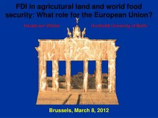 FDI in agricutural land and world food security: What role for the European Union?