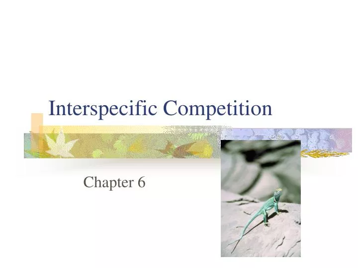 interspecific competition