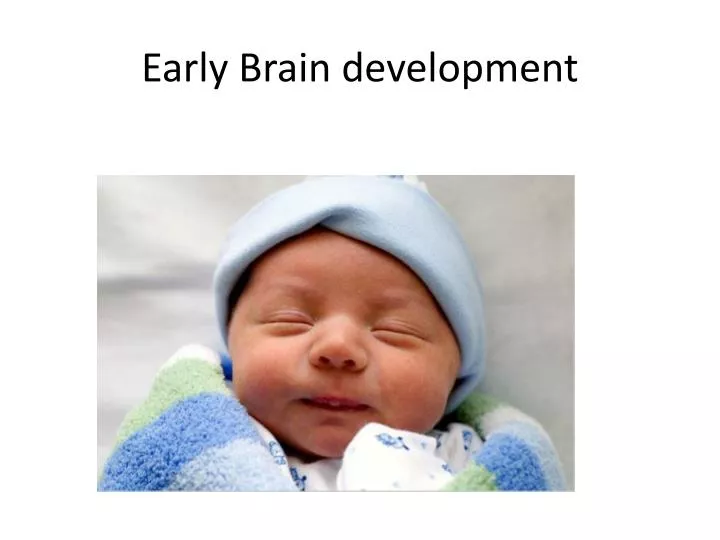 early brain development