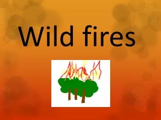 Wild fires