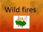 Understanding Wildfires: Causes, Effects, and Prevention Strategies - slide 1