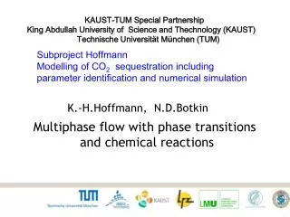Subproject Hoffmann Modelling of CO 2 sequestration including