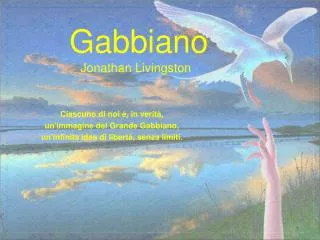 gabbiano jonathan livingston