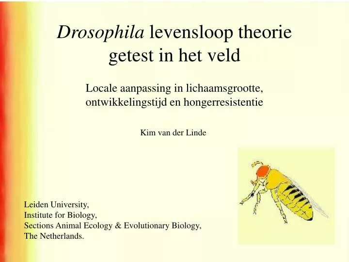drosophila levensloop theorie getest in het veld