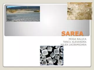sarea