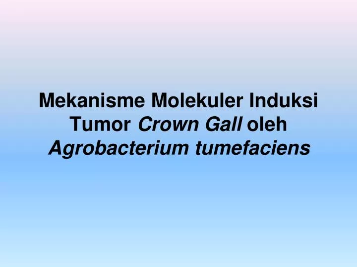 mekanisme molekuler induksi tumor crown gall oleh agrobacterium tumefaciens