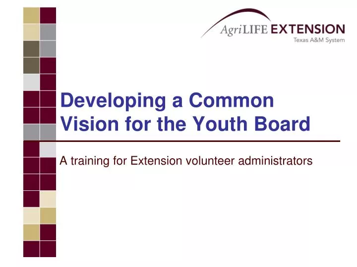 developing a common vision for the youth board