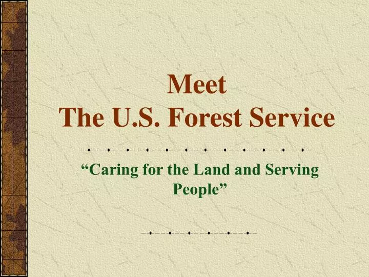 meet the u s forest service