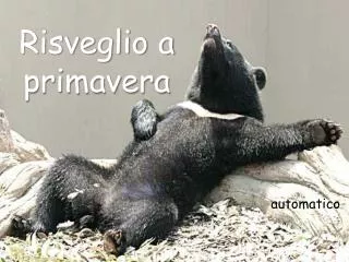 risveglio a primavera