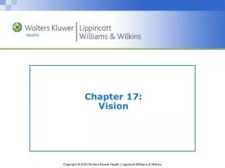 Chapter 17: Vision